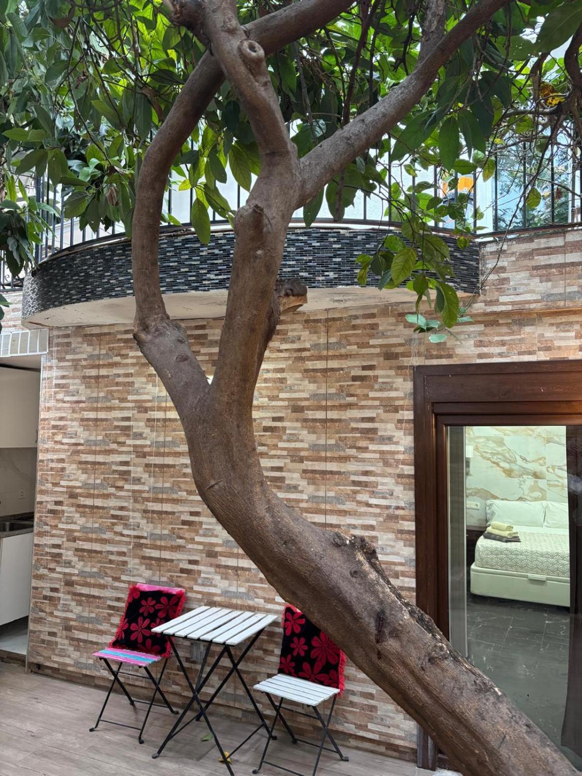 Studio Terrace,1743230119:JPEG