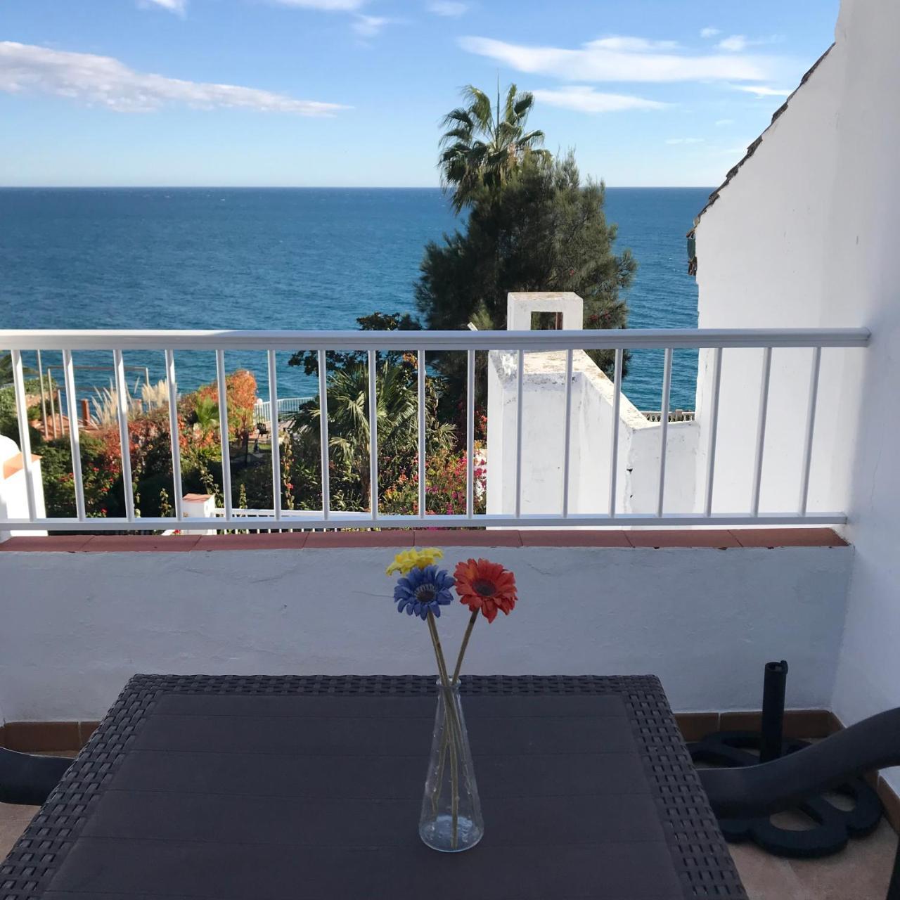 Studio with Sea View,263785325:JPEG