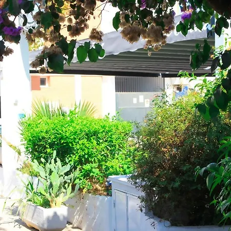 Hotel Patricia-2
