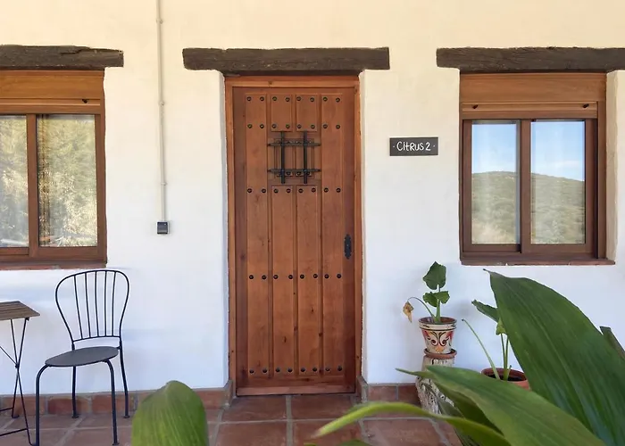 The Wild Olive Andalucia Citrus Suite