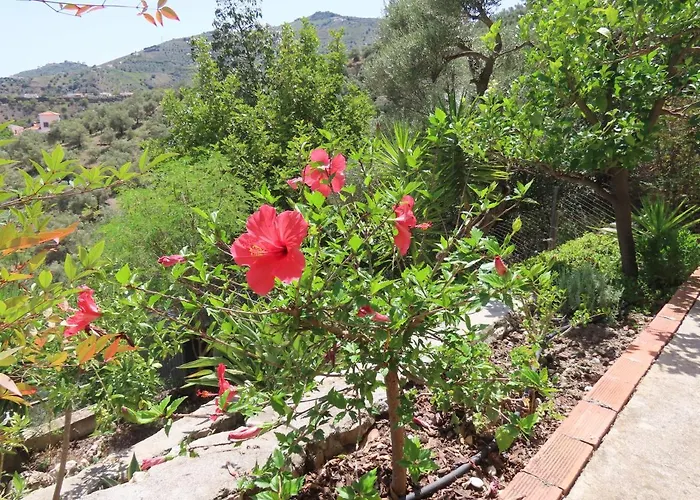 Finca Flor Canillas de Albaida