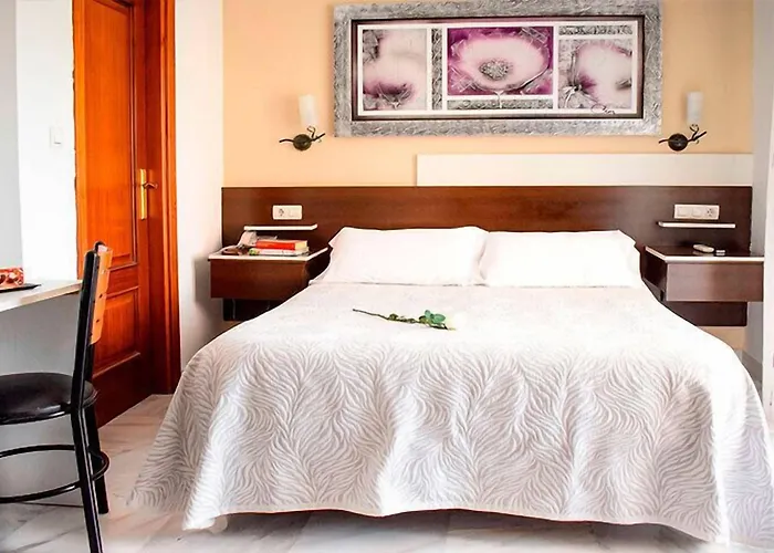 Hotel Albero